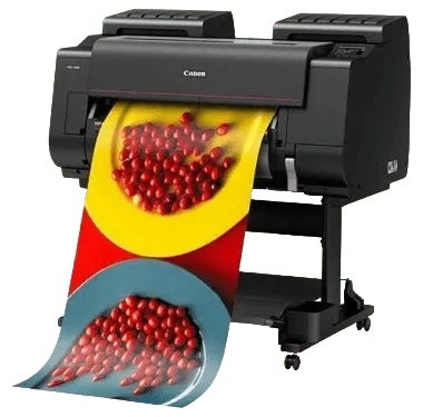 Прошивка (Обновление ПО) Canon imagePROGRAF PRO-2100